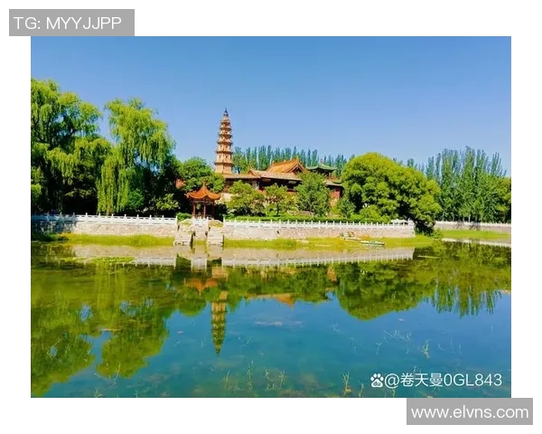 历史上那些被遗忘的足球冷门球星和他们的传奇故事