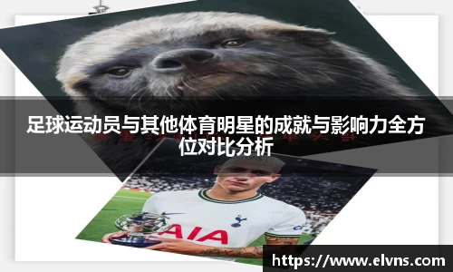 足球运动员与其他体育明星的成就与影响力全方位对比分析