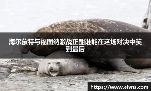 海尔蒙特与福图纳激战正酣谁能在这场对决中笑到最后